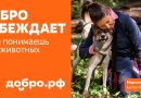Добро побеждает