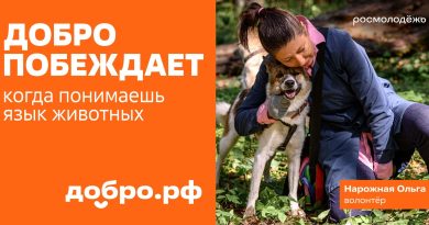 Добро побеждает