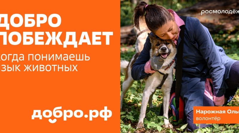 Добро побеждает