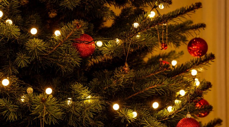 Использование гирлянд в доме