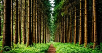 Не знаешь куда отправиться отдыхать? Портал эко.путешествуем.рф подскажет