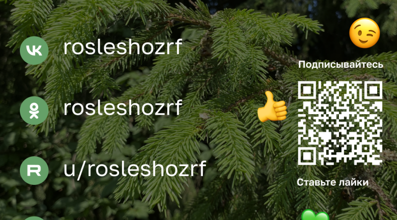 Берегите лес!