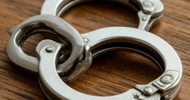 В Тюменской области госавтоинспекторы задержали водителя, перевозившего около 45 килограммов наркотиков