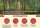 До 8 июня в Тюменской области продлен запрет на посещение лесов