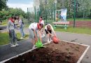 Клумба «Первых» преображается в селе Шишкина