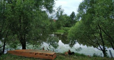 Гаражи, огороды и свалки: в Тюменской области фиксируют массовые нарушения на лесных участках