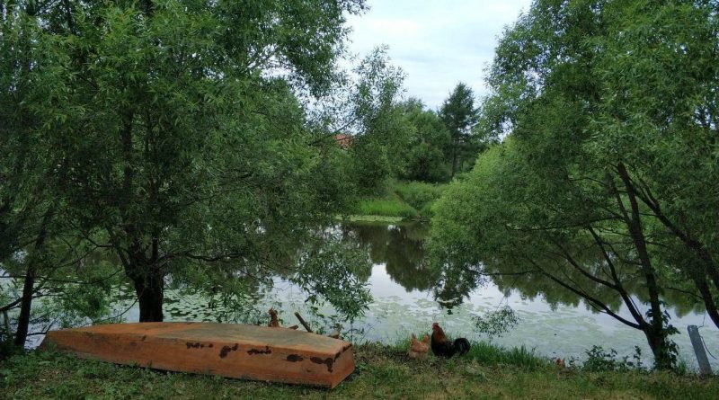Гаражи, огороды и свалки: в Тюменской области фиксируют массовые нарушения на лесных участках
