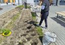 Первые деньги и первые уроки взрослой жизни