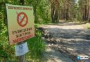 Один лесной пожар в Тюменской области: спасатели предупреждают о рисках