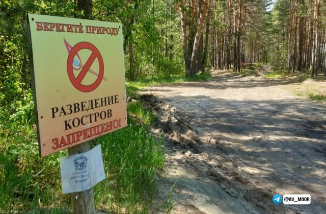 Один лесной пожар в Тюменской области: спасатели предупреждают о рисках