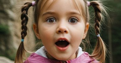 Притяжение природы: 2,6 миллиона россиян выбрали отдых на заповедных территориях страны в начале 2026 года