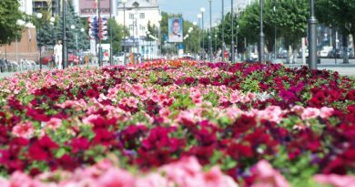 В Тюмени пройдет ярмарка цветов ко Дню семьи, любви и верности