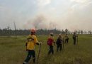 «Тюменские десантники‑пожарные возвращаются домой: два месяца борьбы с огнём в Красноярском крае»