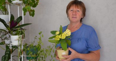 Цветы как лекарство для души